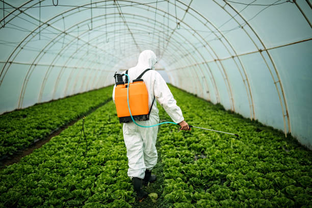 Best Pest Inspection Near Me  in Demopolis, AL