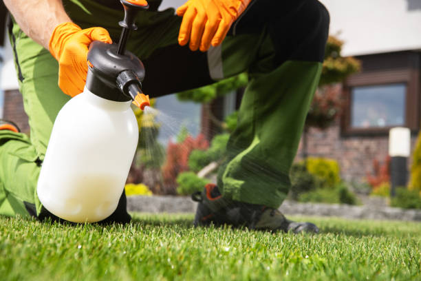 Best Local Pest Control Services  in Demopolis, AL