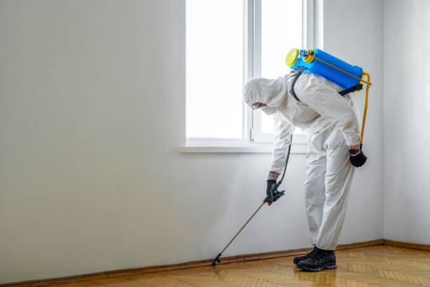 Best Insect Control  in Demopolis, AL