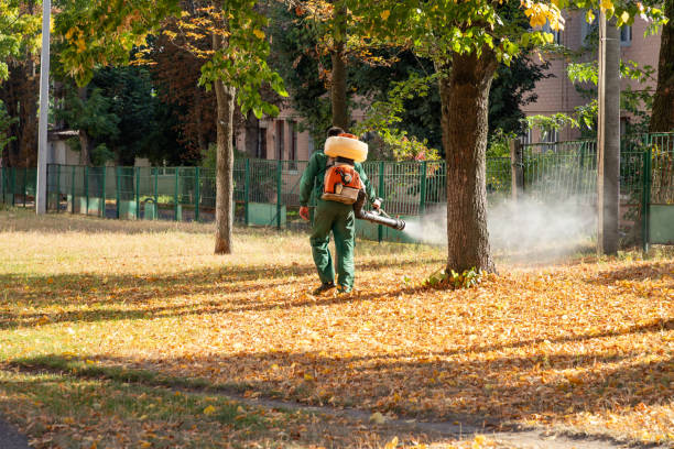 Insect Control in Demopolis, AL