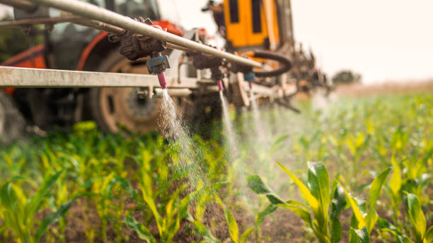 Best Best Pest Control Companies  in Demopolis, AL